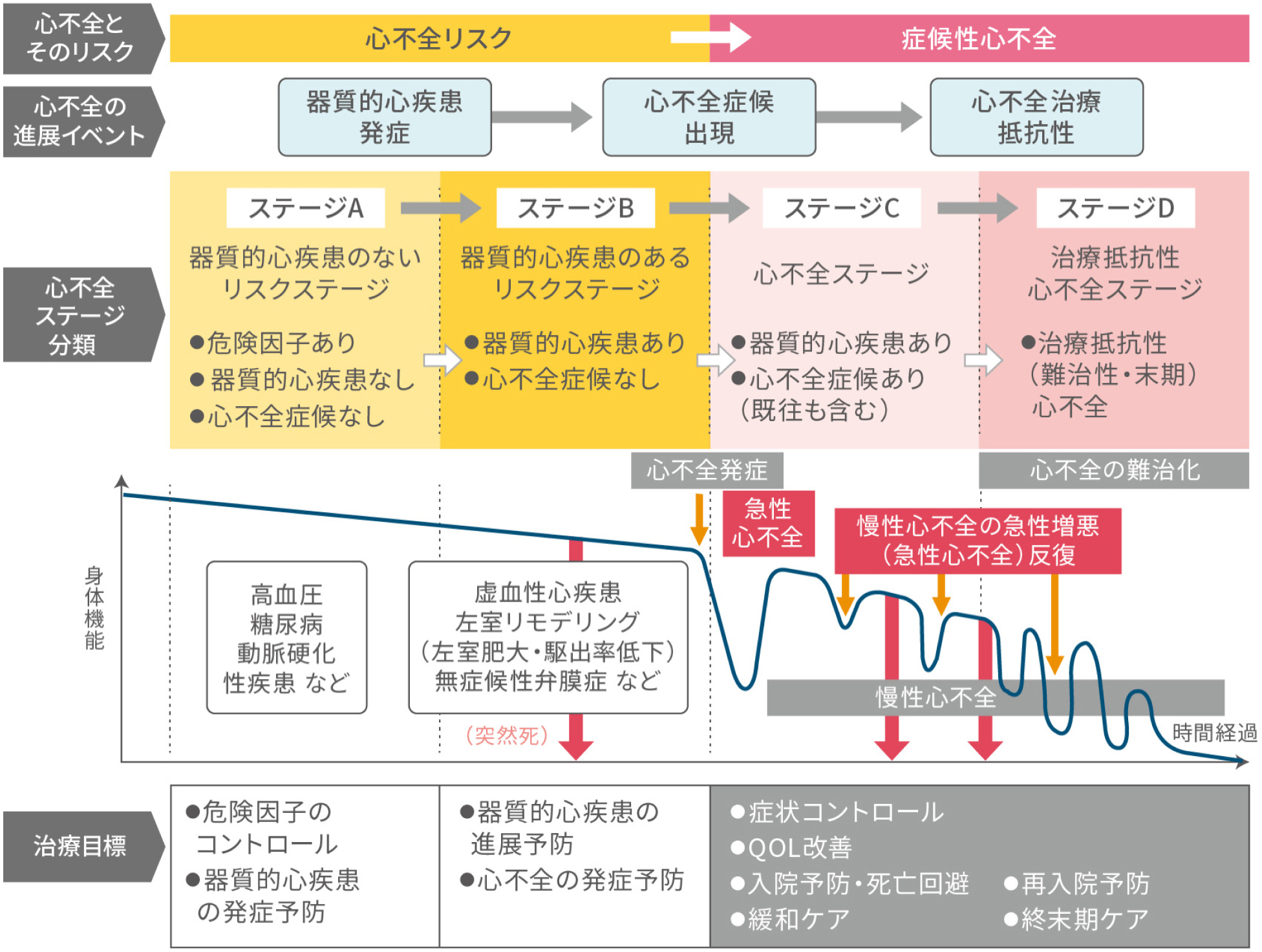 心不全とそのリスク、心不全の進展イベント、心不全ステージ分類、治療目標。