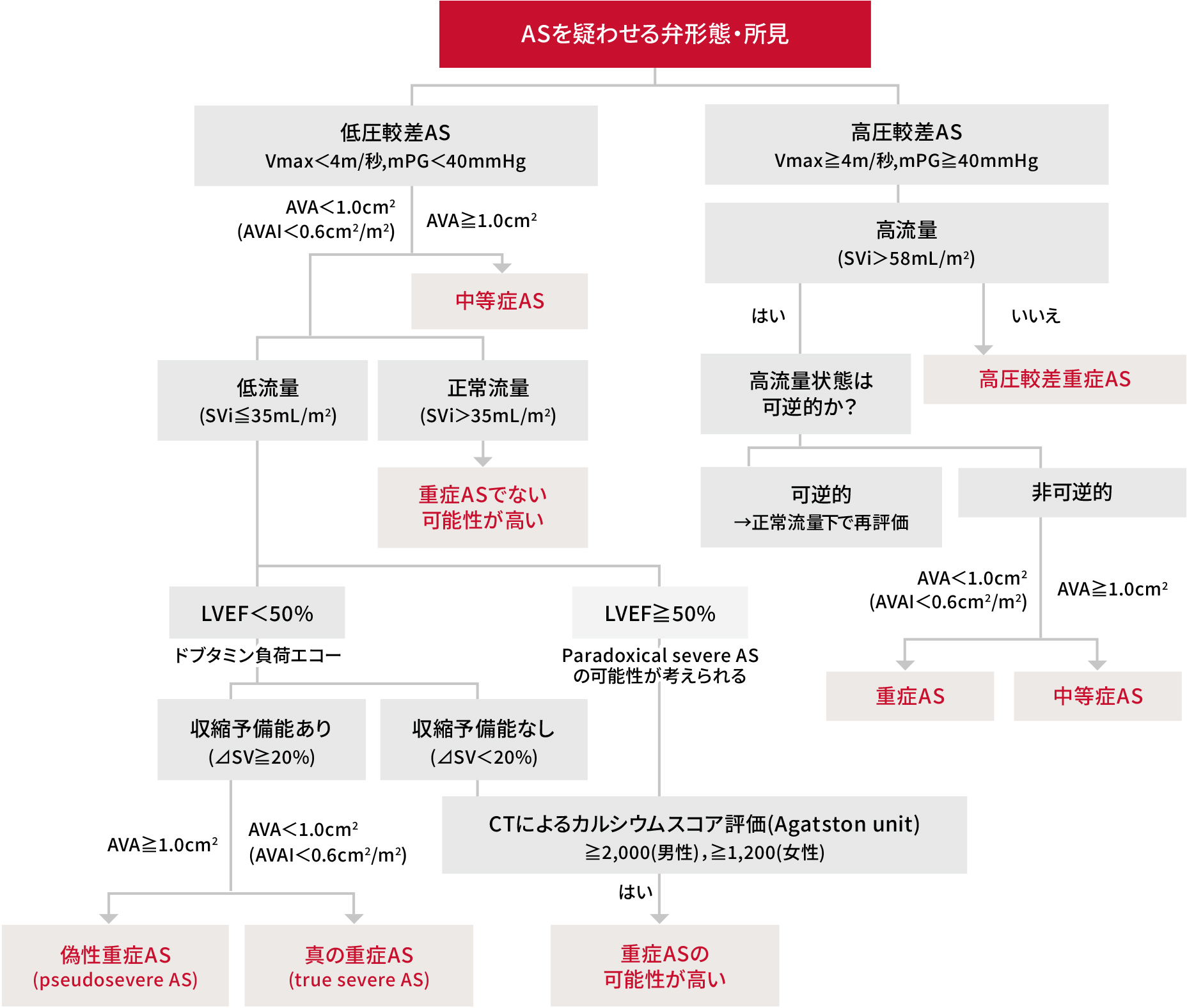 大動脈弁狭窄症(AS)の重症度評価