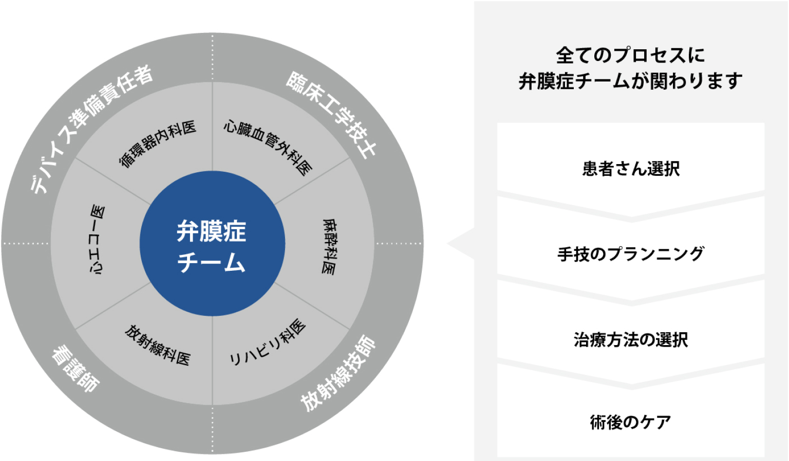 循環器内科医、心臓血管外科医、麻酔科医、心エコー医、看護師、理学療法士、放射線技師、臨床工学技士などで結成される弁膜症チーム