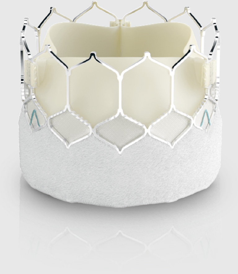 Close up of Edwards SAPIEN 3 Ultra transcatheter heart valve