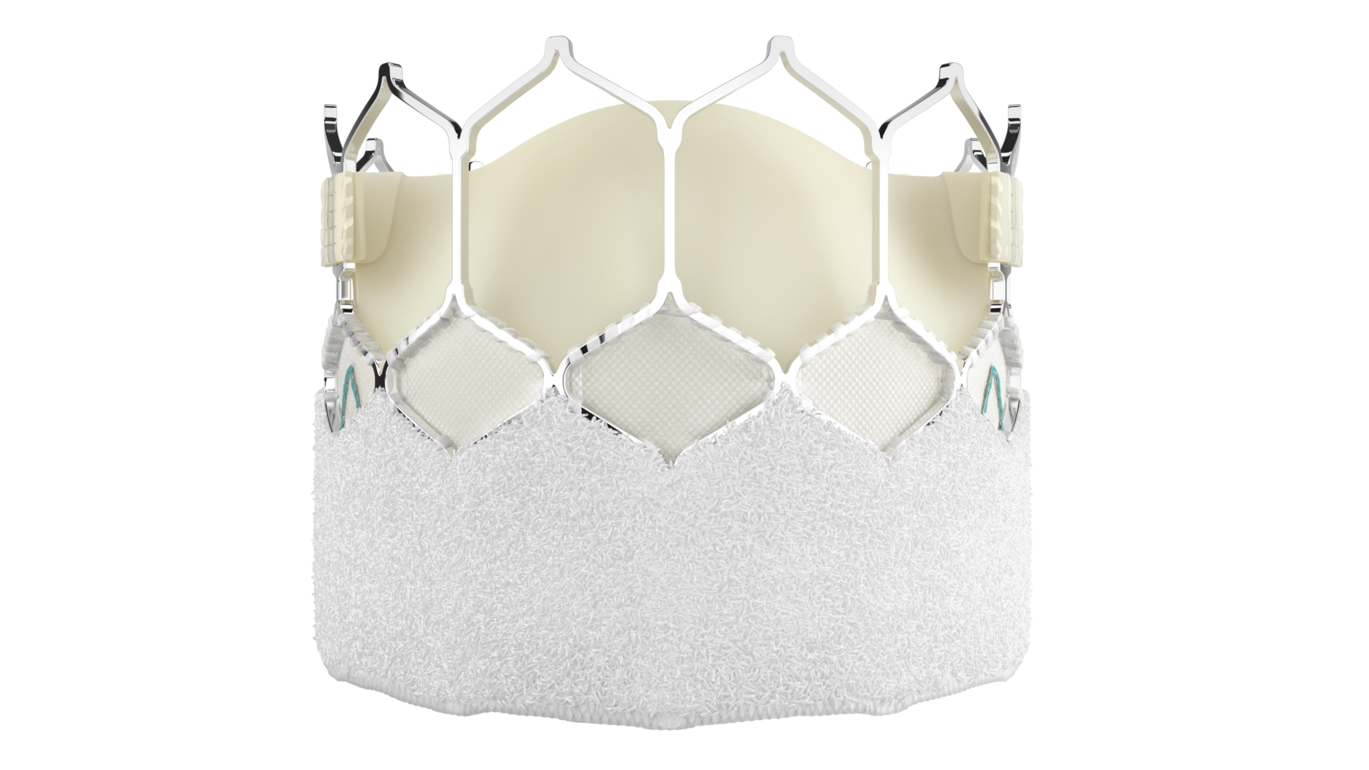 Mitral and tricuspid solutions