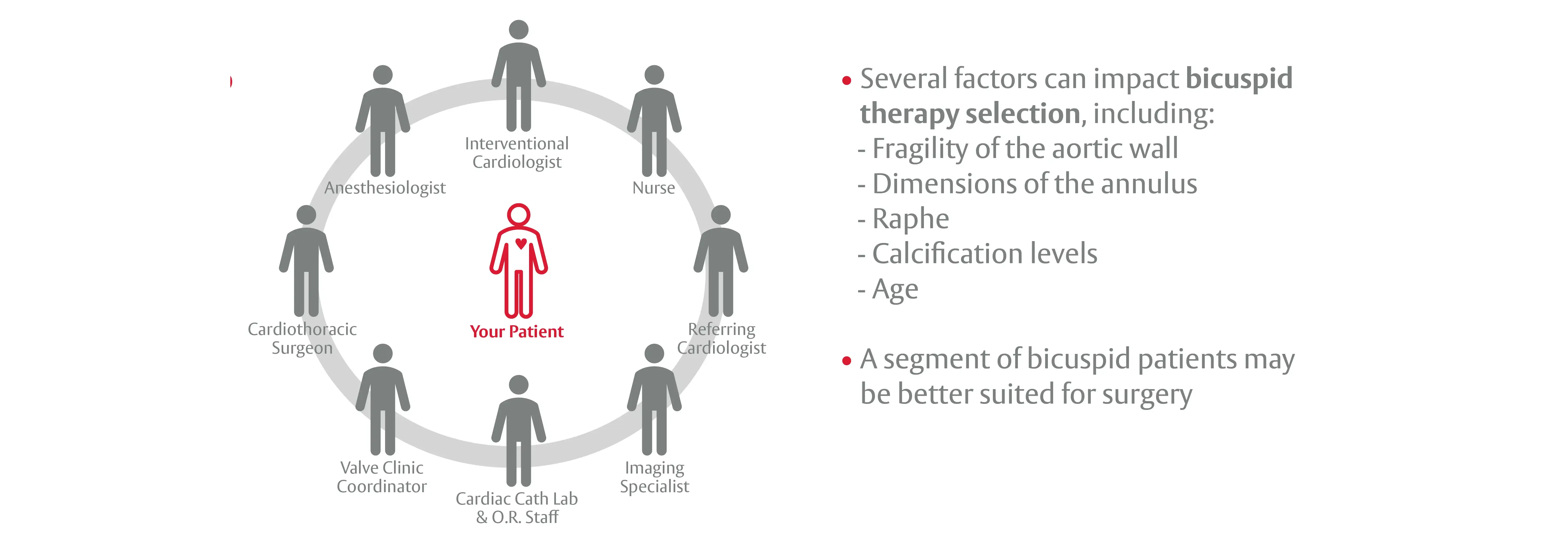 Careful selection by the Heart Team Infographic of a Heart Team. Center: 'Your Patient.' Around the patient in a circle (clockwise from top): Interventional Cardiologist, Nurse, Referring Cardiologist, Imaging Specialist, Cardiac Cath Lab & O.R. Staff, Valve Clinic Coordinator, Cardiothoracic Surgeon, Anesthesiologist. Right-side text: 'Several factors can impact bicuspid therapy selection, including: – Fragility of the aortic wall – Dimensions of the annulus – Raphe – Calcification levels – Age.' Additional note: 'A segment of bicuspid patients may be better suited for surgery.'