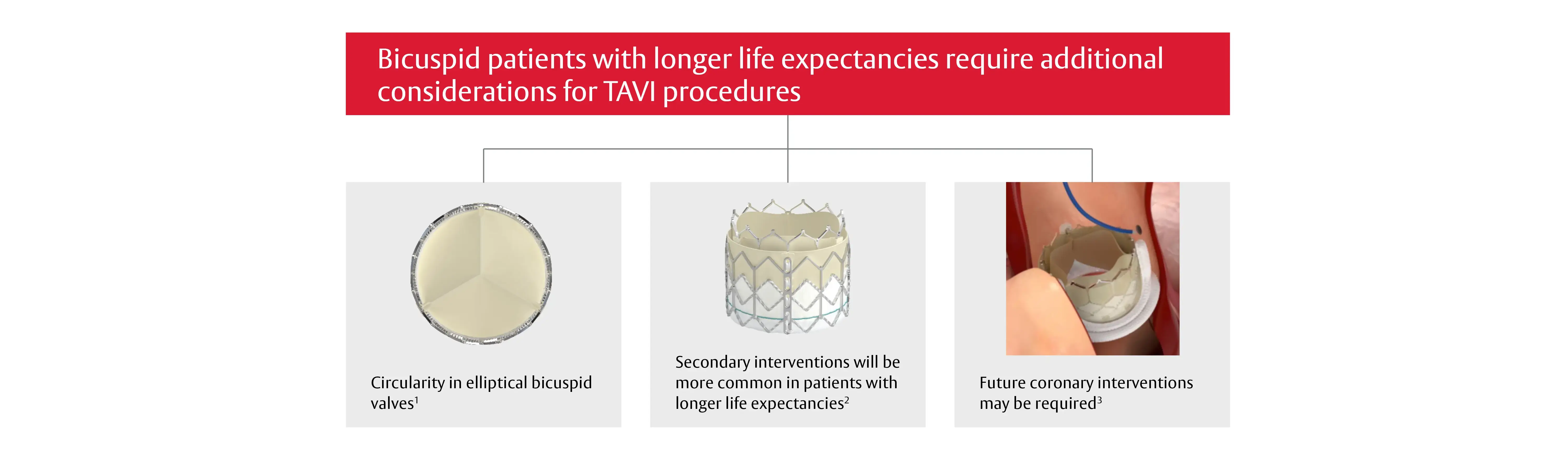 Infographic. Red header: ‘Bicuspid patients with longer life expectancies require additional considerations for TAVI procedures.’ Three panels beneath with images and captions: (1) Top-down view of a valve — ‘Circularity in elliptical bicuspid valves¹.’ (2) SAPIEN 3 transcatheter valve — ‘Secondary interventions will be more common in patients with longer life expectancies².’ (3) Anatomical illustration near the aortic root with a catheter — ‘Future coronary interventions may be required³.’