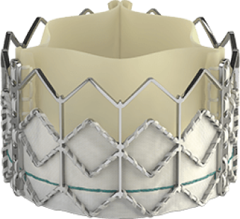 Edwards SAPIEN valve