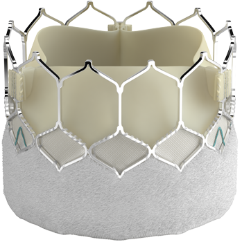 Edwards SAPIEN 3 Ultra valve