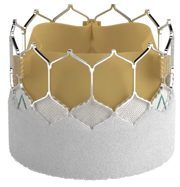 Edwards SAPIEN 3 Ultra RESILIA valve